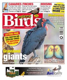 Cage & Aviary Birds – May 6, 2026