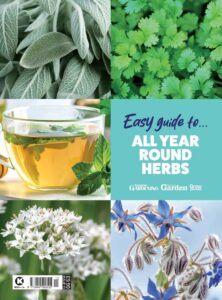 Easy guide to  ALL YEAR ROUND HERBS, 2026