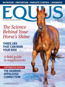Equus – Summer 2026