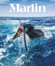 Marlin – May-June 2026
