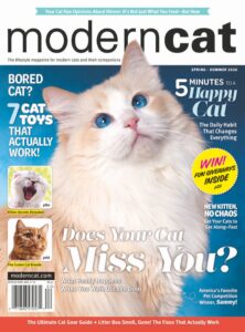 Modern Cat – Spring-Summer 2026