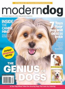 Modern Dog – Spring-Summer 2026