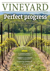Vineyard – June 2026