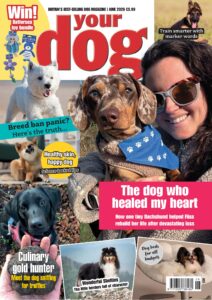 Your Dog – June 2026