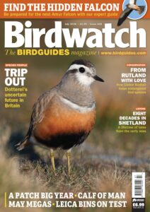 Birdwatch UK – July 2026