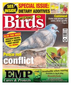 Cage & Aviary Birds – June 10, 2026
