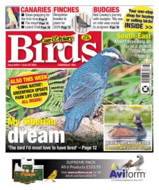 Cage & Aviary Birds – June 24, 2026