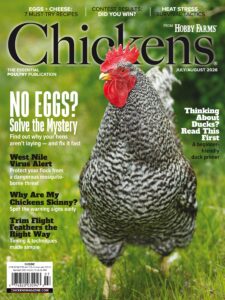 Chickens – July-August 2026