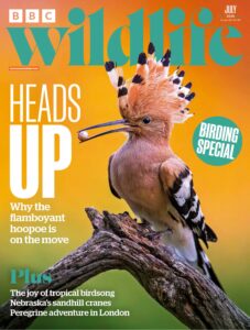 BBC Wildlife Magazine – July 2026