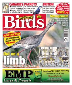 Cage & Aviary Birds – July 15, 2026
