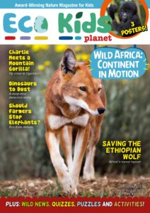 Eco Kids Planet Magazine – , Issue 141 142,July-August 2026