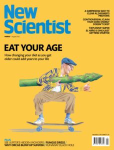 New Scientist International Edition – 1 August 2026