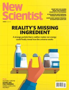 New Scientist International Edition – 25 July 2026