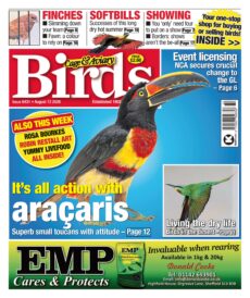 Cage & Aviary Birds – August 12, 2026