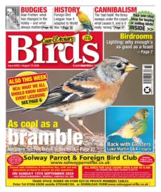 Cage & Aviary Birds – August 19, 2026