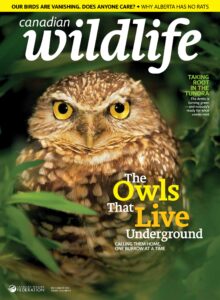Canadian Wildlife – July-August 2026