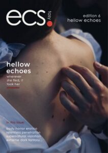Ecstasy – Edition 6 Hollow Echoes, 2026