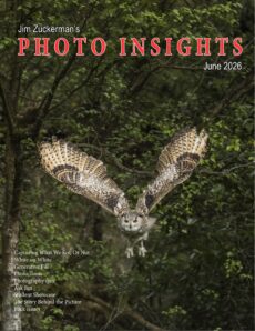 Photo Insights – June 2026